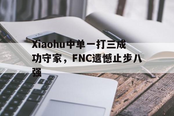 Xiaohu中单一打三成功守家，FNC遗憾止步八强-Pinnacle APP