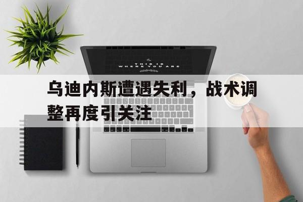 乌迪内斯遭遇失利，战术调整再度引关注-平博体育